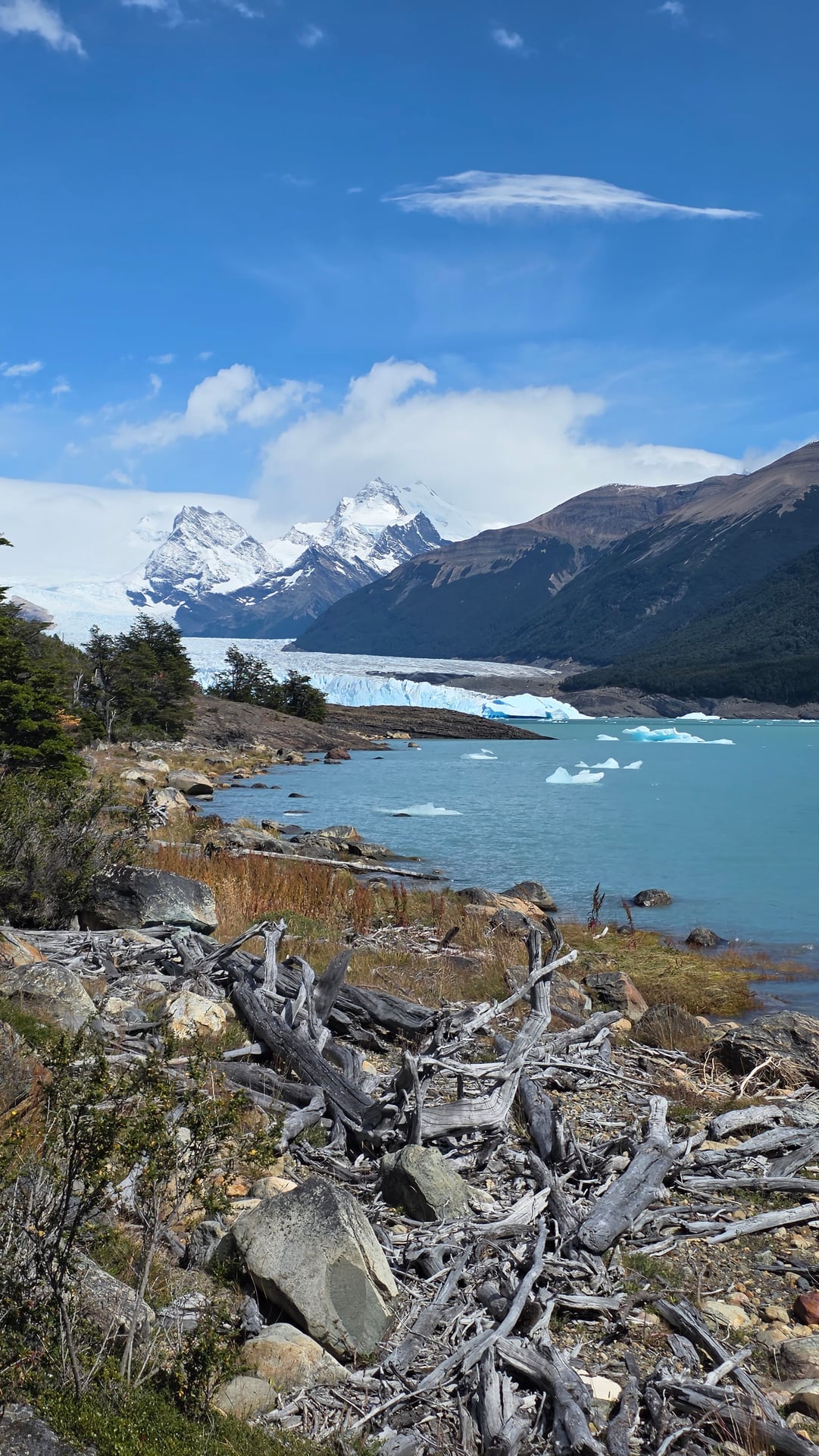 Patagonia — foto 6