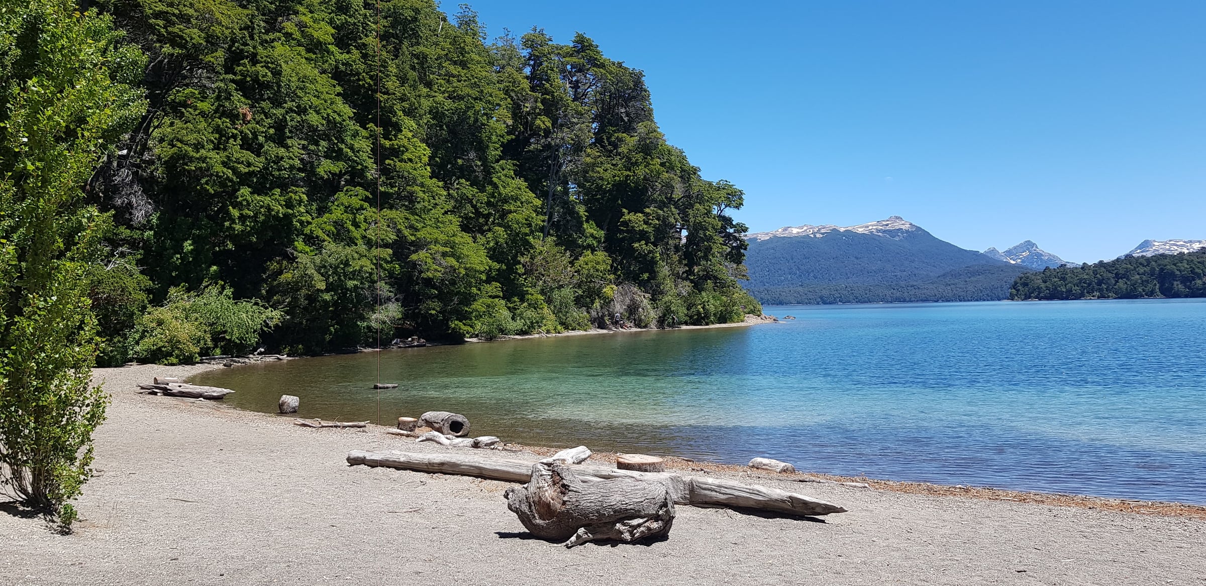 Playa de lago patagónico rodeada de bosque y montañas