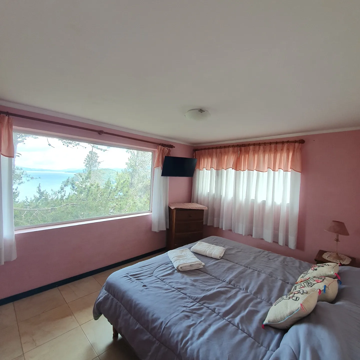 Cab. Sauco grande — photo 1