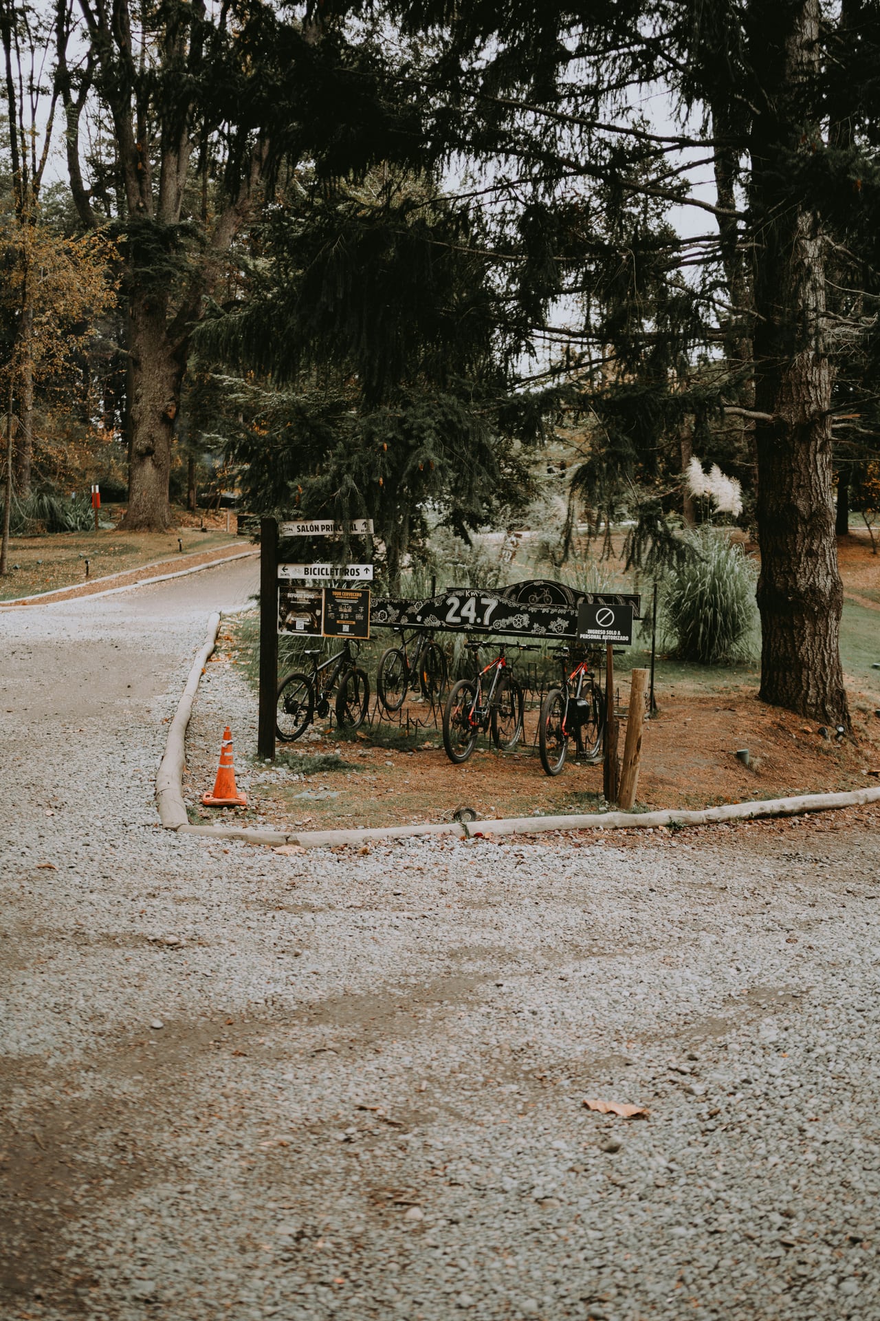 Alquiler de bicicletas — foto 1
