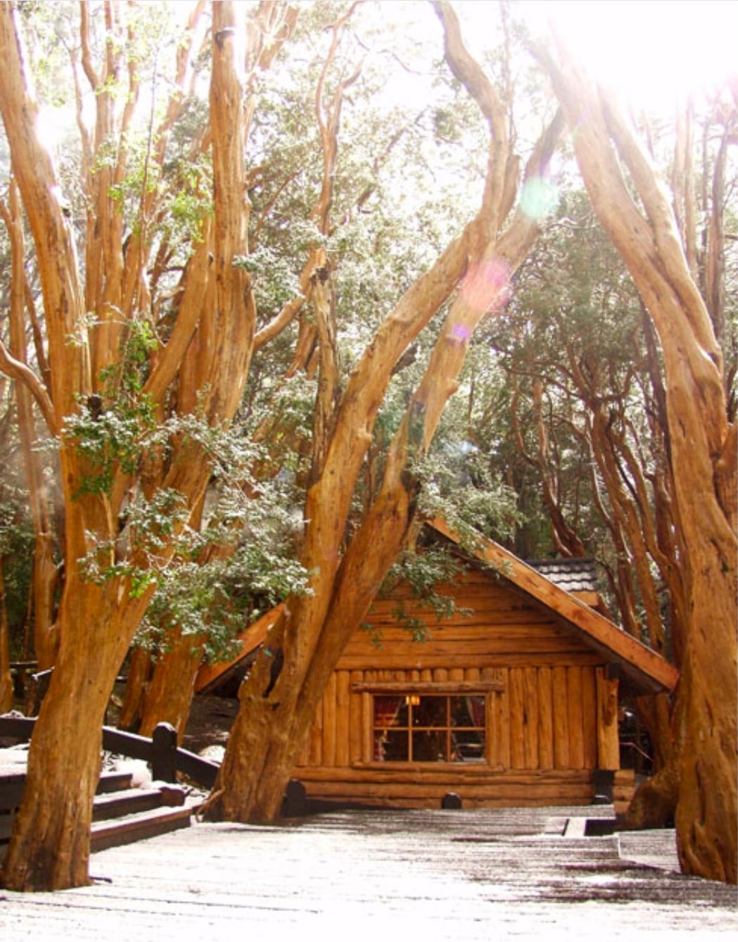 Navegación al Bosque de Arrayanes — foto 1